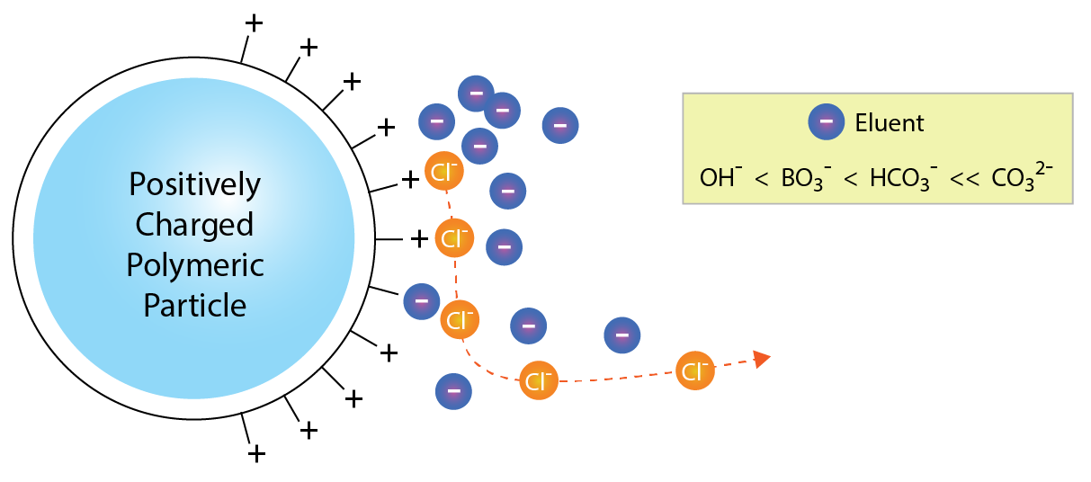 Anion exchange chromatography
